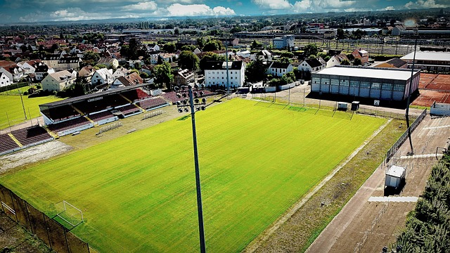 28球，B费升至葡萄牙队史射手榜第六位